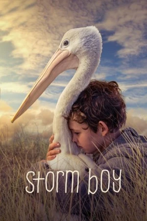 Fırtına Çocuk (2019) izle