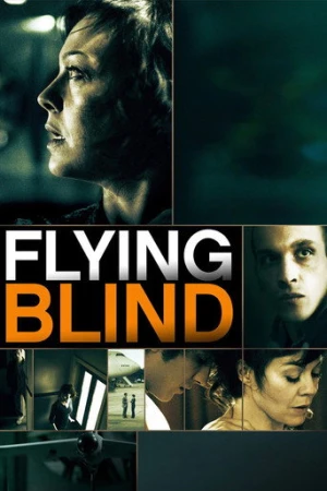 Flying Blind (2013) izle