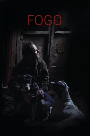 Fogo (2012) izle