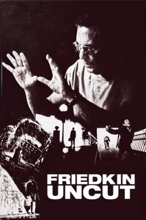 Friedkin Uncut (2018) izle