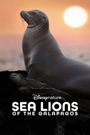 Galapagos'un Denizaslanları (2025) izle