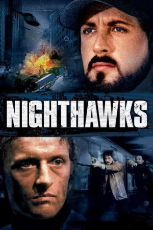 Gece Şahini (1981) izle