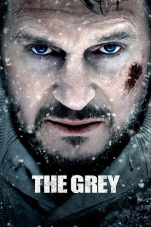 Gri Kurt (2012) izle