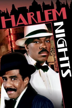 Harlem Geceleri (1989) izle