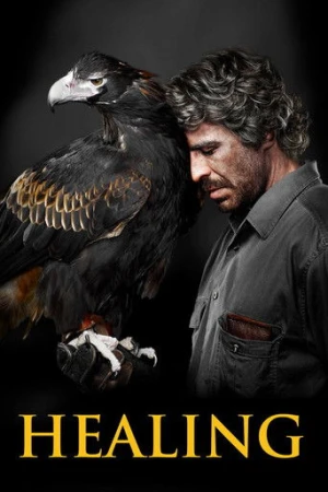 Healing (2014) izle