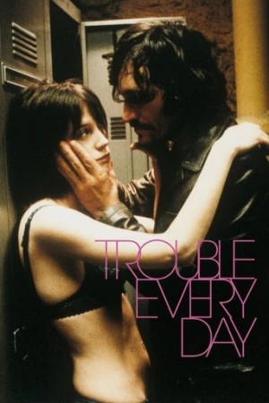Her Gün Başka Bir Bela (2001) izle
