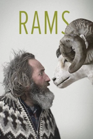 İnatçılar (2015) izle