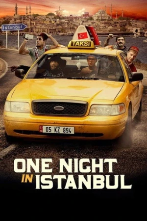 İstanbul'da Bir Gece (2014) izle