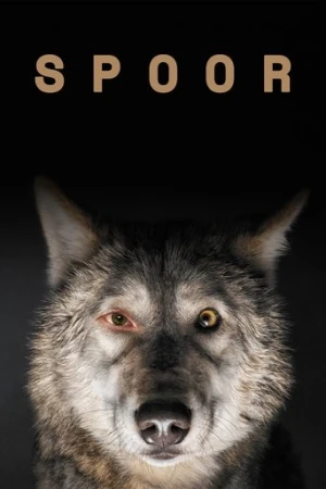 İz (2017) izle