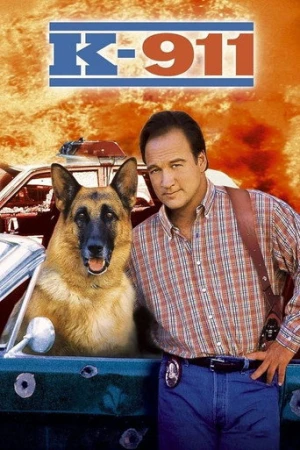 K-911 (2000) izle