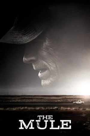 Kaçakçı (2018) izle