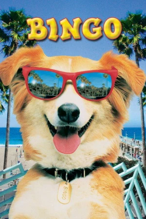 Kahraman Köpek Bingo (1991) izle