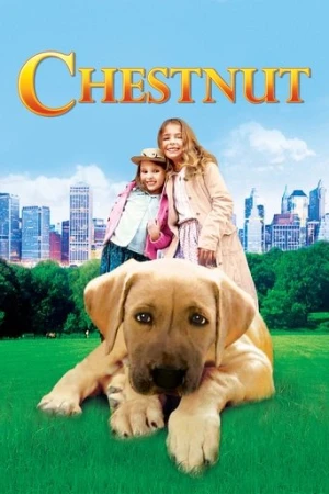 Kahraman Köpek (2004) izle
