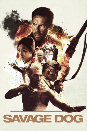 Kanunsuz Topraklarda (2017) izle