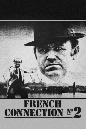 Kanunun Kuvveti II (1975) izle