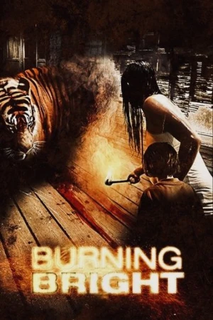 Kaplan Kapanı (2010) izle