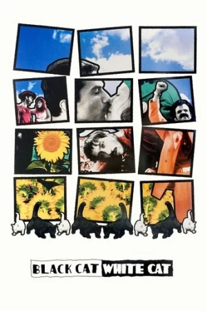 Kara Kedi, Ak Kedi (1998) izle