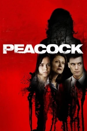 Kasabadaki Sır (2010) izle