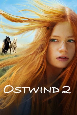 Kasırga 2 (2015) izle