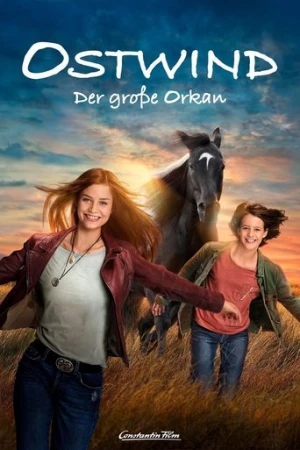 Kasırga 5 - Büyük Kasırga (2021) izle