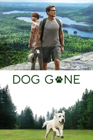 Kayıp Köpek (2023) izle