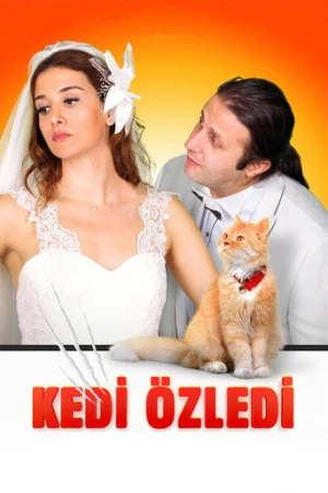 Kedi Özledi (2013) izle
