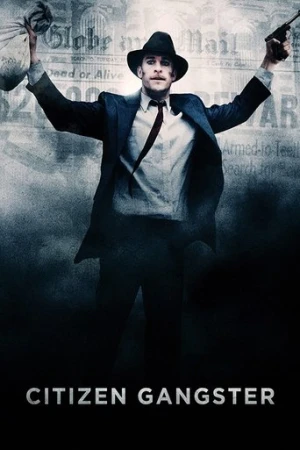 Kibar Soyguncu (2011) izle