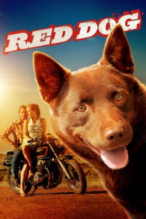 Kırmızı Köpek (2011) izle