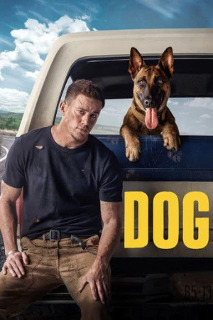 Köpek afiş