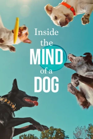 Köpeklerin Aklından Neler Geçiyor? (2024) izle