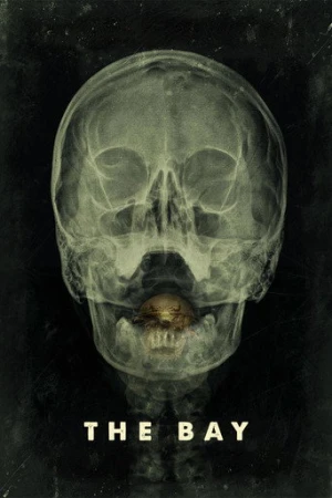 Körfezci (2012) izle