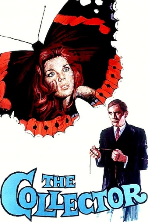 Korkunç Koleksiyoncu (1965) izle