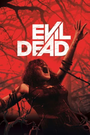 Kötü Ruh (2013) izle