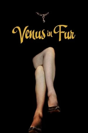 Kürklü Venüs (2013) izle