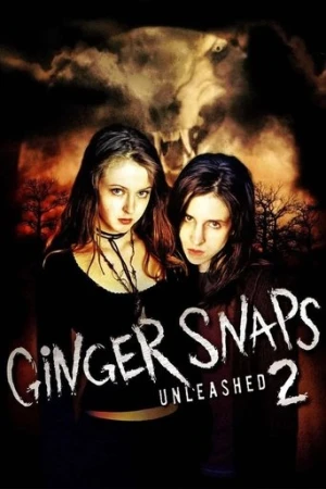 Kurtkızlar Serbest Kaldı (2004) izle