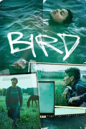 Kuş (2024) izle