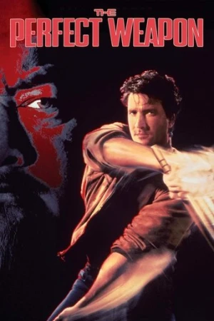 Kusursuz Silah (1991) izle