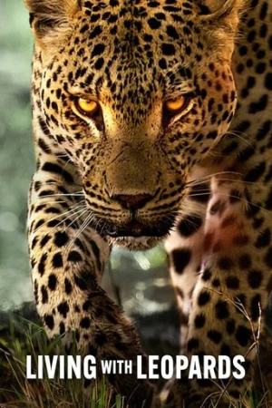 Leoparlarla Yaşam afiş