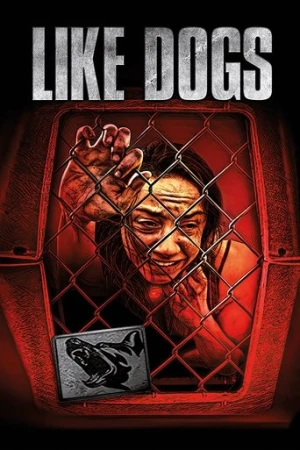 Like Dogs afiş