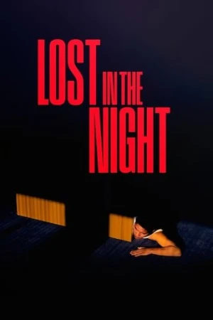 Lost in the Night afiş