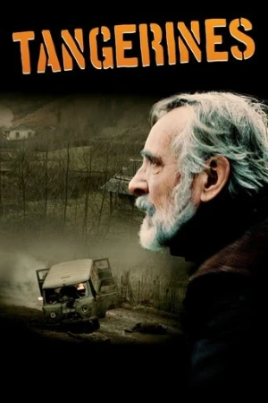 Mandalina Bahçesi (2013) izle