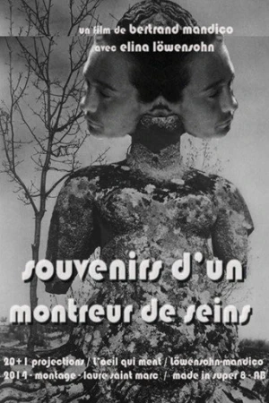 Memories of a Boobs Flasher (2014) izle