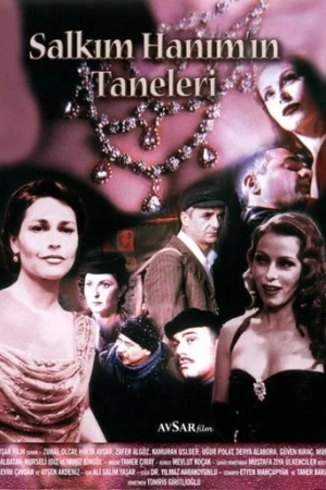 Salkım Hanım'ın Taneleri (1999) izle