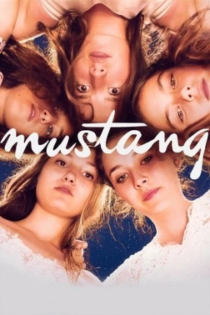 Mustang (2015) izle