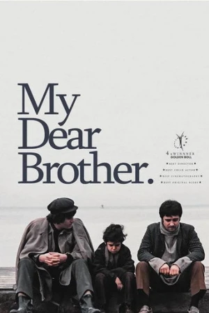 Canım Kardeşim (1973) izle