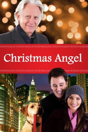 Noel Meleği (2009) izle