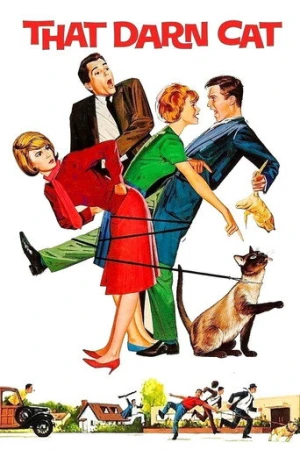 O İllet Kedi (1965) izle