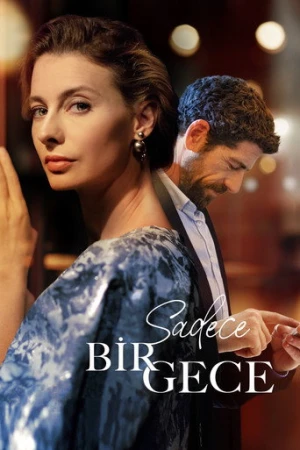 Sadece Bir Gece (2022) izle