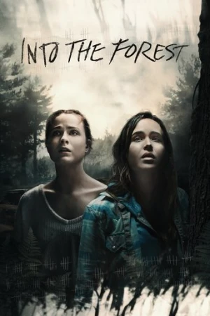 Ormana Doğru (2016) izle