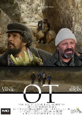 OT Umut Peşinde (2016) izle